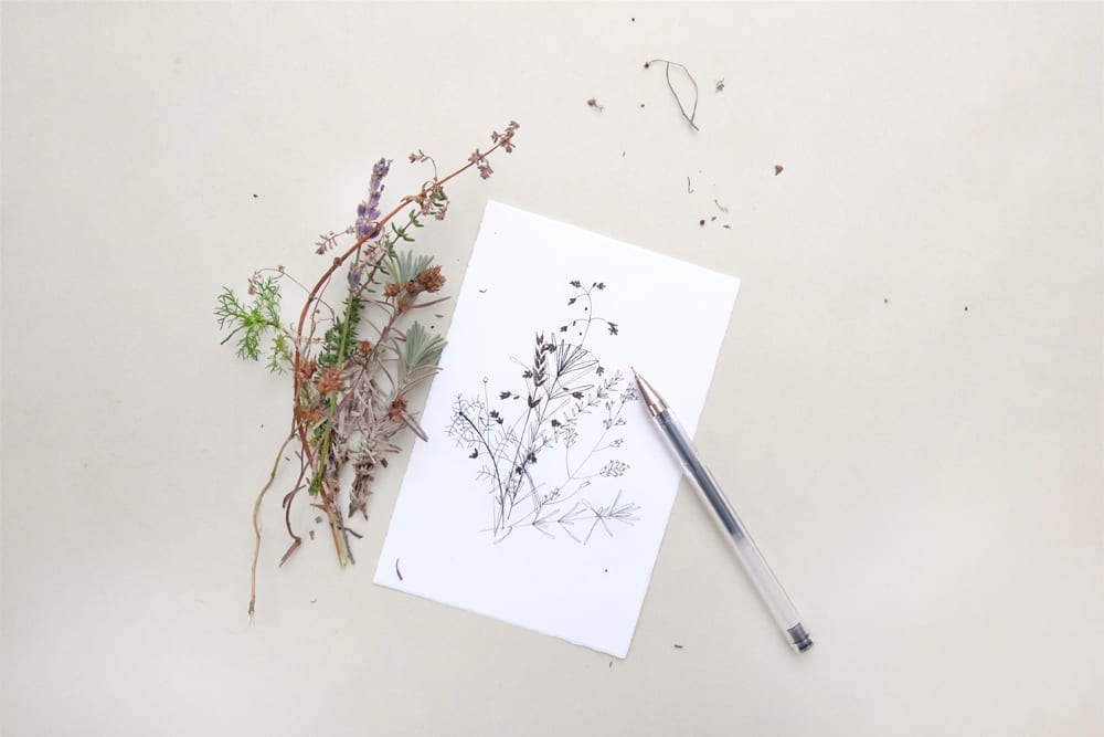 Winterliche Zweige Tusche-Zeichnung | ink drawing winter sprigs