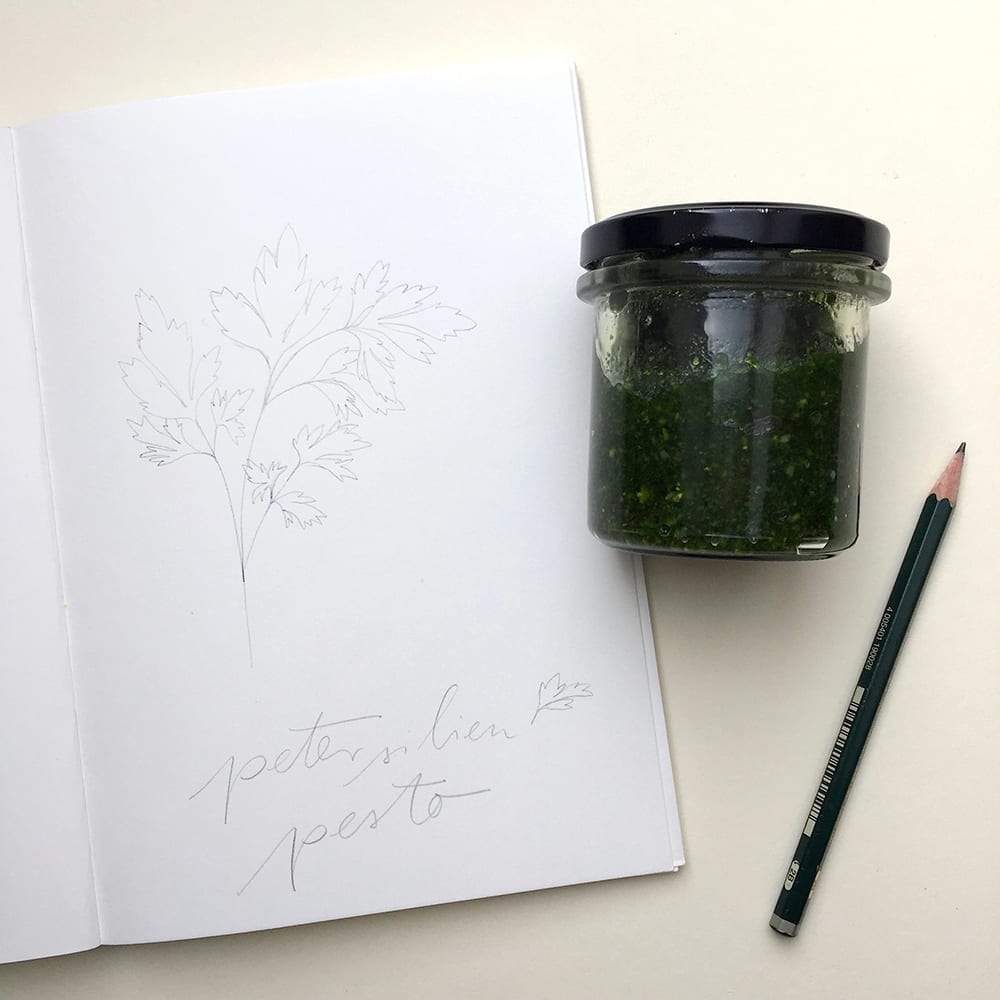 Petersilienpesto, Petersilie Illustration | STUDIO KARAMELO | parsley illustration sketchbook