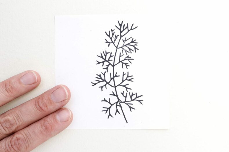 Stempel, Pflanzenstempel Alge STUDIO KARAMELO