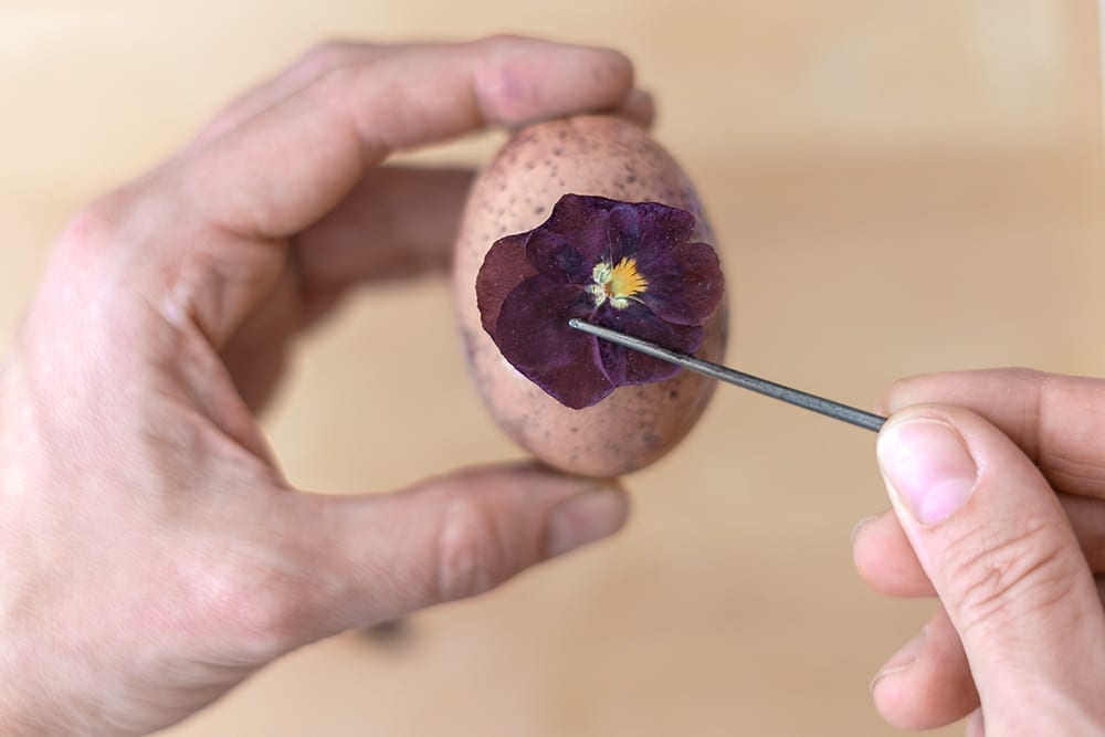 Ostereier mal anders: Ostereier mit gepressten Blumen verzieren