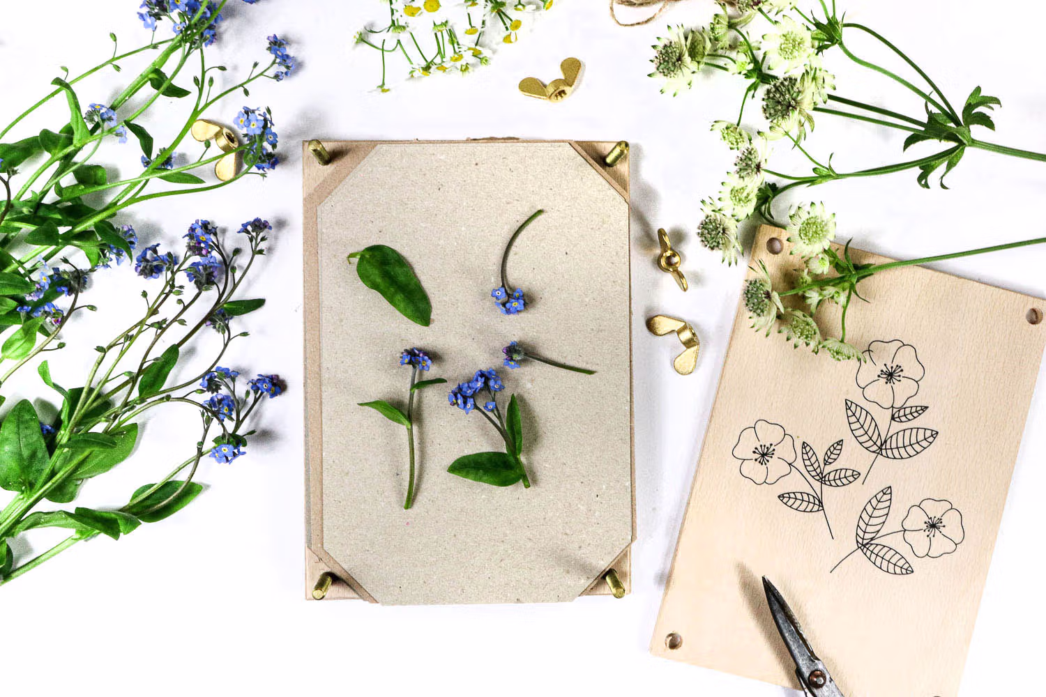 Blumenpresse aus Holz mit Feinwellpappe und Löschpapier