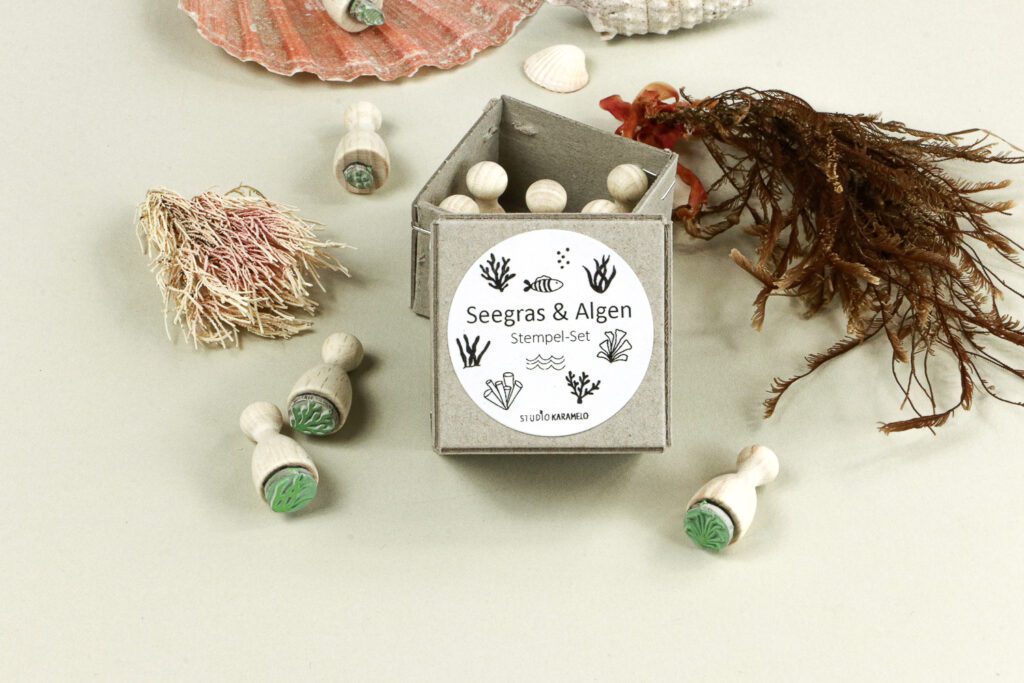 Ministempel Set Seegras & Algen in hübscher Geschenkbox von STUDIO KARAMELO