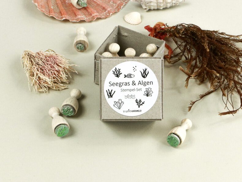 Ministempel Set Seegras & Algen in hübscher Geschenkbox von STUDIO KARAMELO