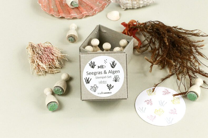 Ministempel Set Seegras & Algen, Koralle, Fisch in hübscher Geschenkbox von STUDIO KARAMELO