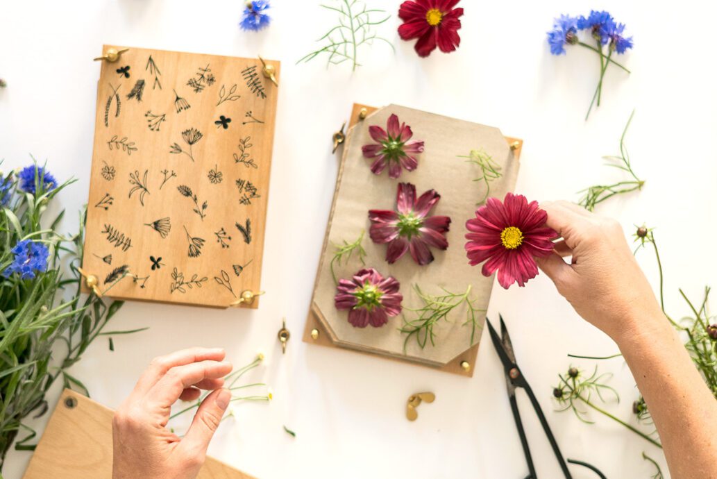 Wie Lange Dauert Es Blumen Zu Pressen