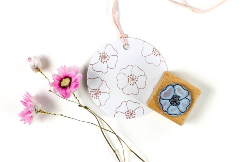 Stempel Blüte Herbstanemone
